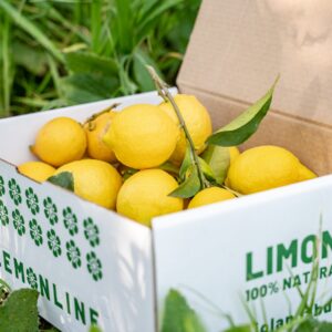 LemonBox Extra 5kg