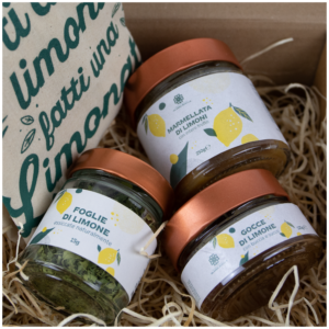 LemonBox +LemonBag in tessuto